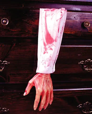 Abgetrennter Blutiger Arm – Bild 2