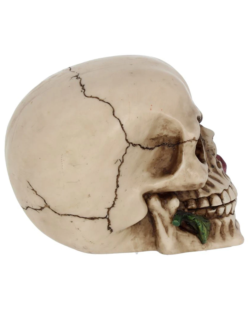 Beiger Totenschädel Mit Roter Rose 15cm – Bild 6