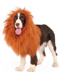 Hundeperücke Löwe