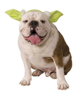 Hunde & Katzen Haarreif Mit Yoda Ohren